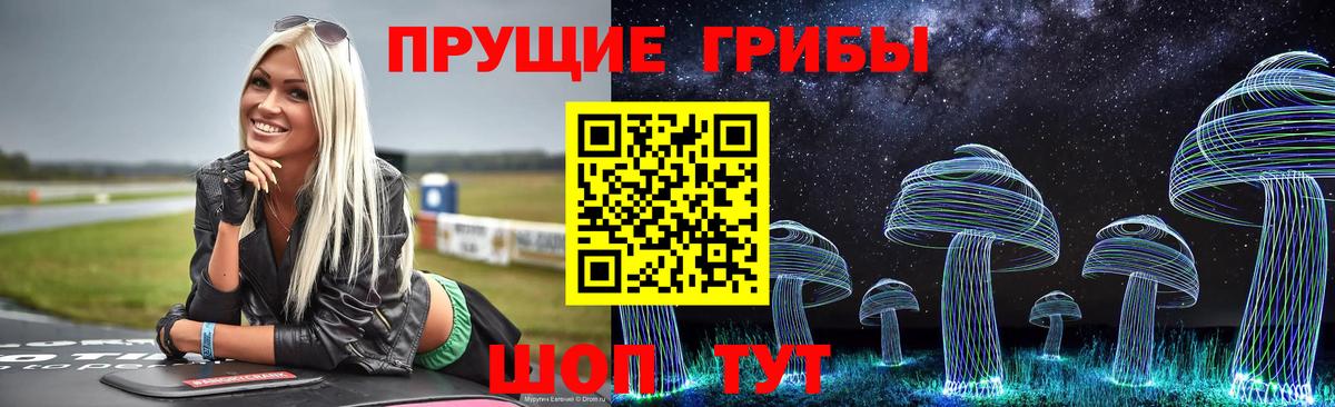 Артёмовский  Псилоцибиновые грибы MAGIC MUSHROOMS  Вход с VPN 