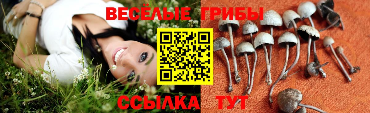 Псилоцибиновые грибы ЛСД Артёмовский